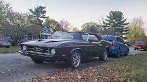 Image result for Cherry Blossom White 1972 Colt