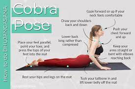 We did not find results for: Yoga Tutorial How To Do Cobra Pose Yoga By Karina