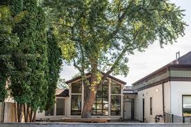 Running Into the Night: Races outrun the scorching sun, as the track meet  extends more than ten hours