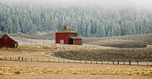 Nearly half of the candidates in the lower house for saturday's wa election do not live in the electorate they are running for. Election Information In General Whitman County Wa