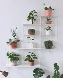32 Inspiring Wall Plant Decorations For Your Living Room Molitsy Blog Diy Plants Decor Plant Decor Indoor Indoor Plant Wall