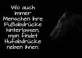 1001 Ideen Zum Thema Schöne Pferdebilder Und Pferdesprüche
