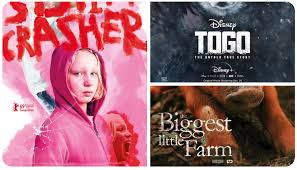 Search for screenings and book tickets on the official website brought to you by neon. Film Reviews System Crasher Togo Le Mans 66 Biggest Little Farm Phoenix Fm