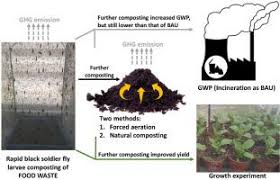 We did not find results for: Upcycling Food Waste Using Black Soldier Fly Larvae Effects Of Further Composting On Frass Quality Fertilising Effect And Its Global Warming Potential Journal Of Cleaner Production X Mol