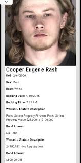 Daily bookings for 04/10/2025. Tressa Denise Henderson DoB: 6/26/1971 Sex:  Female Race: Black Booking Date: 4/10/2025 Booking Time: 10:35 PM Warrant  Statute Description Battery