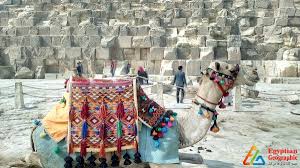 Each gap represents a missing word or phrase. The Camel The Egyptian Civilization Guide Ship Of The Desert