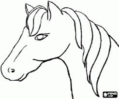 Caballos para dibujar faciles caballo dibujo facil caballos a lapiz como dibujar un caballo como dibujar rostros dibujos para pintar cómo dibujar cosas de dibujo bocetos. Cabeza De Caballo Vista De Lado Para Colorear Pintar E Imprimir