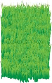 Today we learn to draw a very easy way to draw grass and herbs with pencil, step by step. The Green Grass Background Grass Field Texture Vector Stock Images Page Everypixel