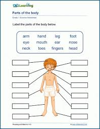 Body parts worksheets are great for children learning the names for parts of the body. Parts Of The Body Worskheet K5 Learning