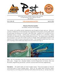 Our objective is to maintain pest free conditions wherever possible using the most effective and up to date treatments and to deal with any infestation, if and when it may occur, swiftly and efficiently. Pdf Attack Of The Elm Sawfly