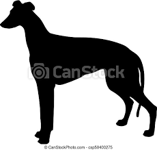 Check spelling or type a new query. Silhouette Of A Dog Black And White Greyhound Vector Illustration Canstock
