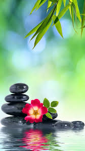 Check spelling or type a new query. Zen Iphone Wallpaper Background Zen Background Zen Wallpaper Zen Pictures