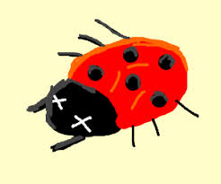 Stinkbug Drawception Discover 497 free ladybug png images with transparent backgrounds. stinkbug drawception