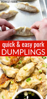 Pork Dumplings Recipe Pork Dumpling Food Pork Recipes