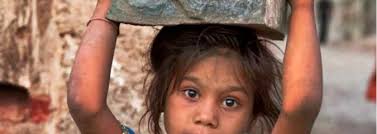 Sysco Louisiana Seafood Archives