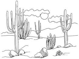 How To Draw Desert Cacti In 4 Steps Desert Drawing Cactus Drawing Nature Drawing