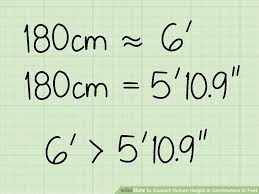 how to convert human height in centimeters to feet with