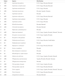 Image result for Pleopeltis  × simiana