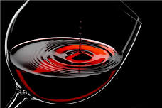 Wine Tasting Friday!