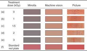 Food Colour Measurement Using Computer Vision Sciencedirect