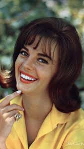 Pin de Robert Sax en My Saves