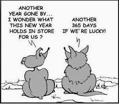 Funny Quotes For Kids Funny Quotes About Life About Friends And Sayings About Love Abou Happy New Year Quotes Funny Happy New Year Quotes Funny Quotes For Kids