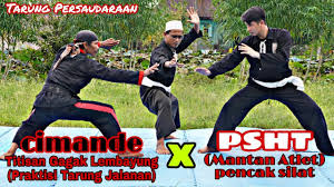 Pertarungan Persaudaraan Antara Psht Dan Cimande Titisan Gagak Lembayung Tarung Jalanan Vs Atlet Youtube