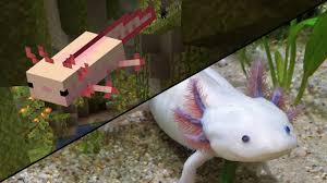 We did not find results for: Minecraft Axolotls In Real Life Youtube