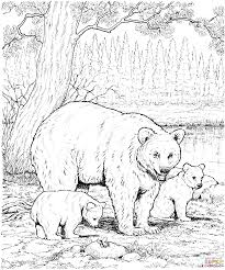 Coloring Pages Hard Animals Baby Animals Coloring Pages Images Gallery Coloring Pages Bear Coloring Pages Family Coloring Pages Coloring Books