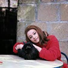 Almost Famous Cats Cat People Cats Beautiful Cat