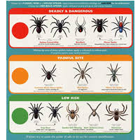 Free Spider Identification Chart Simple Deals