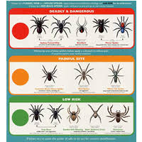 free spider identification chart simple deals