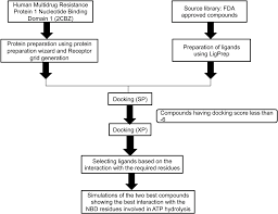Image result for Multidrug Resistance Score