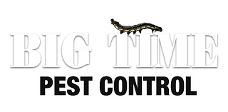 Call today for service near you. Big Time Pest Control Northern California Exterminators