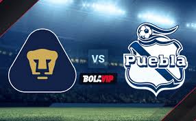 21/04/2019 liga mx femenil тур 18 ko 19:00 стадион estadio cuauhtémoc (puebla). Mvemx2jotbbi0m