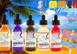 Image result for dinner lady summer holiday