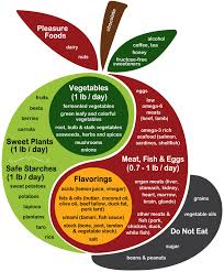 Resistant Starch Foods List Pdf Google Search Perfect Health Diet Health Diet Foods Modified Paleo Diet