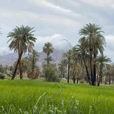 المايسترو معين شعيبعازف الاورغ : Ù‚Ù„Ù… On Twitter Ø§ØµØ§Ù„Ù‡ ÙŠÙˆØ³Ù Ø¯Ø¨ÙƒÙ‡ ÙˆØ¯Ø¨ÙŠÙƒÙ‡ Asala Yousef Dabka Https T Co Oa6o6jxicp Via Youtube