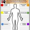Anatomy and physiology reproductive system power point slides. 1