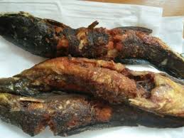 Resep ikan lele goreng balado minang youtube bahan bahannya tentunya lele,ditambah bumbu bumbu gula,tomat lengkuas dan lain lainnya yang. Gambar Masakan Ikan Lele Goreng Resep Ikan Lele Bakar Dijamin Makan Siang Anda Menjadi Semangat Tribun Pontianak Jevt Online