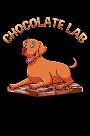 Here you can explore hq chocolate lab transparent illustrations, icons and clipart with filter setting polish your personal project or design with these chocolate lab transparent png images, make it. Chocolate Lab Cute Funny Chocolate Lab Pun Adorable Brown Labrador Puppy Blank Composition Notebook For Journaling Writing 120 Lined Pages 6 X 9 Journals The Perfect Presents Dog Pun 9781711135700