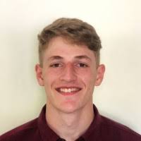 20+ "Pilon" profiles