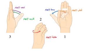 موضوعات علمية من الخطب الموضوع 336 يد الإنسان وعظمة خلقها موسوعة النابلسي للعلوم الإسلامية