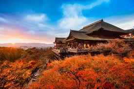 2021 michelin guide young chef award: Michelin Guide Kyoto Osaka Okayama 2021 Selection Announcement