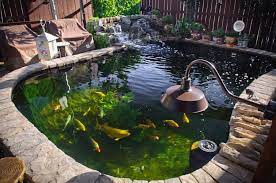 Why is every koi pond that you see a different depth? How I Built A 4 000 Gallon Koi Pond Diy Fishpond Project Photos Boing Boing