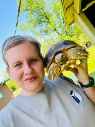 Leopard tortoise escape: seeking advice and help