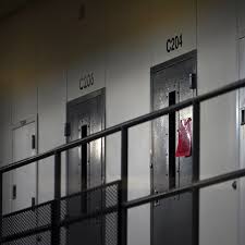 We did not find results for: Authorities Find Escaped Federal Inmate In Tennessee Wztv