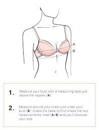 Zivame.com, enamor available cup size: Do You Know How To Measure Yourself Women Secret