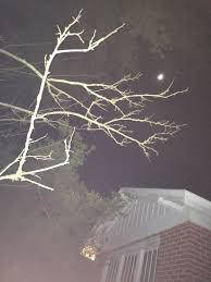 Pin By Maxwell On Kingdom Ghost Stories Night In The Wood Welcome To Night Vale Night Vale