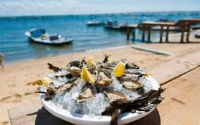 Partez A La Decouverte De La Gastronomie Du Bassin D Arcachon Hotel Le Dauphin